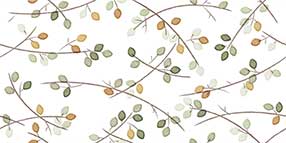 Sprout